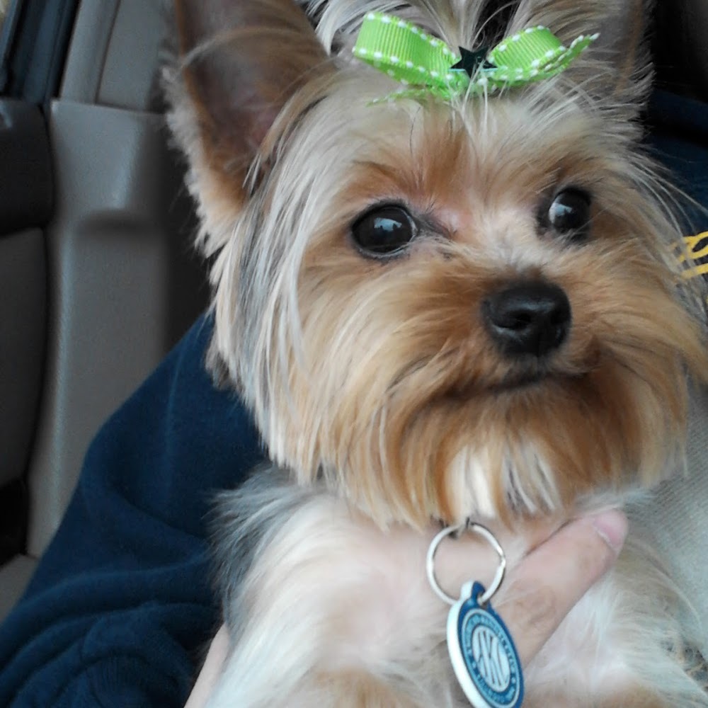 Meet your Posher, Yuna